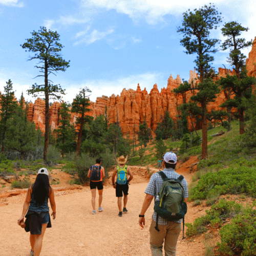 Justin Ebert hiking with group on the Queens Garden Navajo Loop