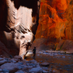 "The Narrows" canyon walls in Zion glowing red and orange