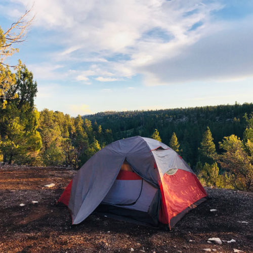 Tent at Zion Ponderosa campground
