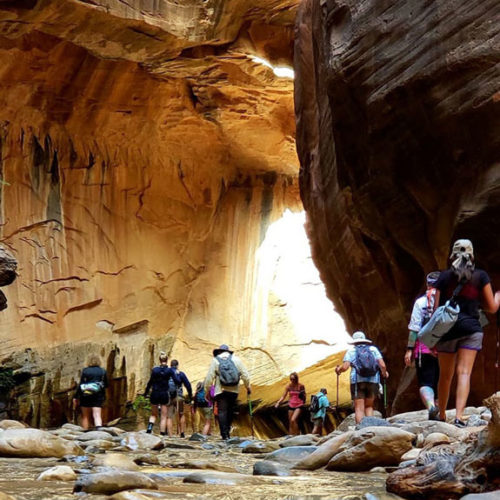 Light hitting the canyon walls in the Narrows