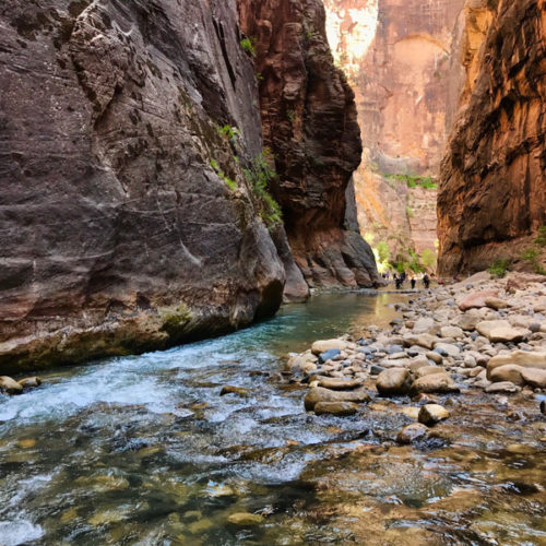 People hiking upstream in the Narrows