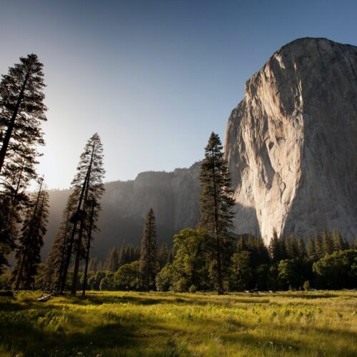 Looking up at El Capitan in Yosemite Valley during golden hour
