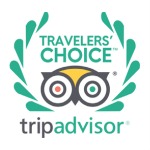 travelers choice icon