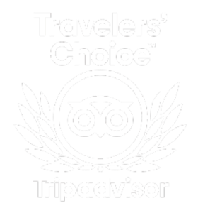 Why Travel With Us Award