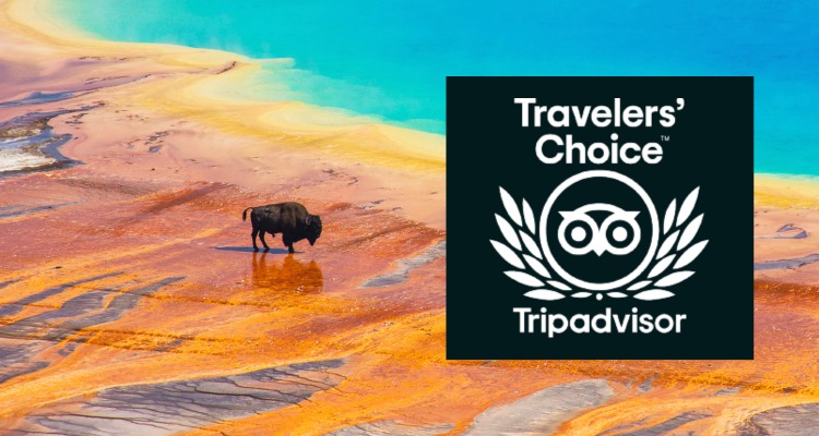 Yellowstone Trip Advisor Award