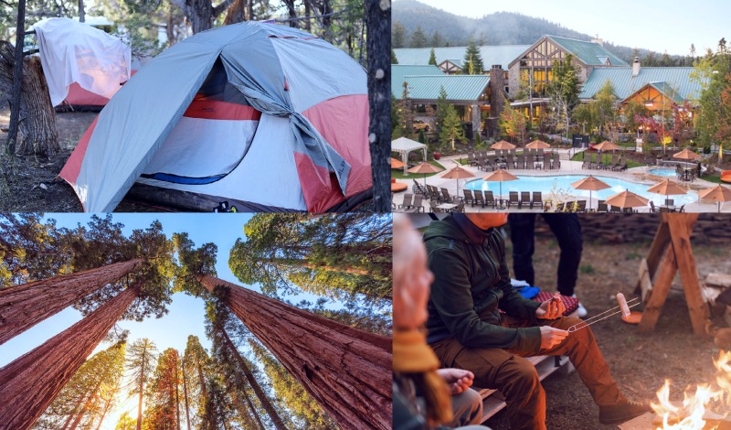 Yosemite Camping and Lodging