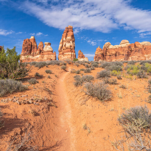 Chesler Park trail in Canyonlands National Park
