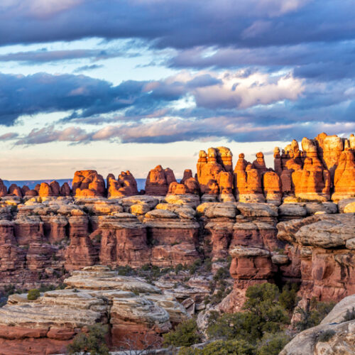 Needles in Canyonlands National Park