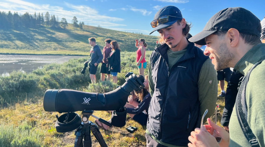 Yellowstone Wildlife Tour 