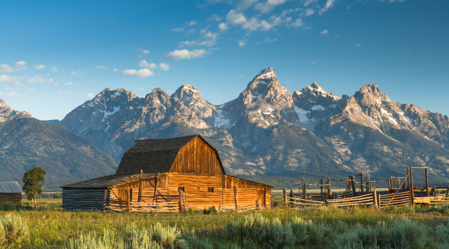 Mormon Row Grand Tetons