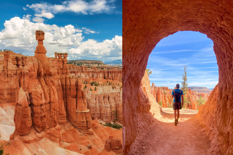 Bryce canyon trails