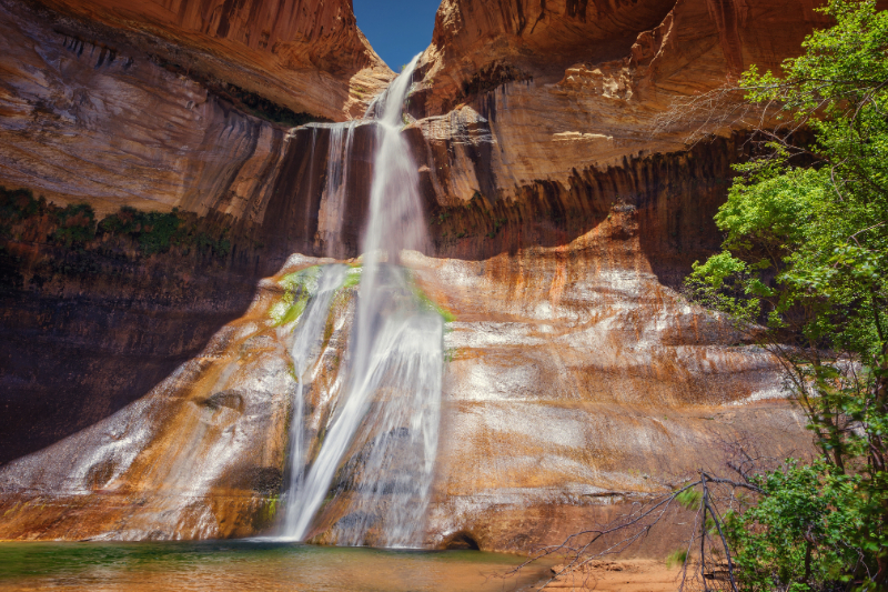 Lower calf creek falls on zion tour
