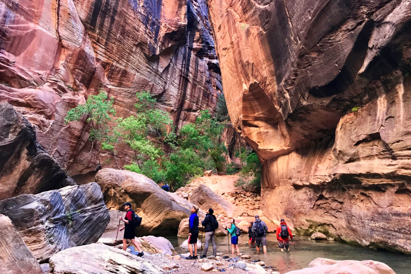 Zion narrows