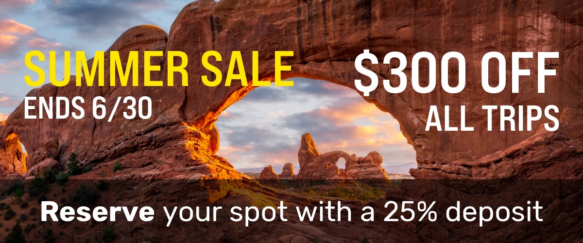 Tour sale