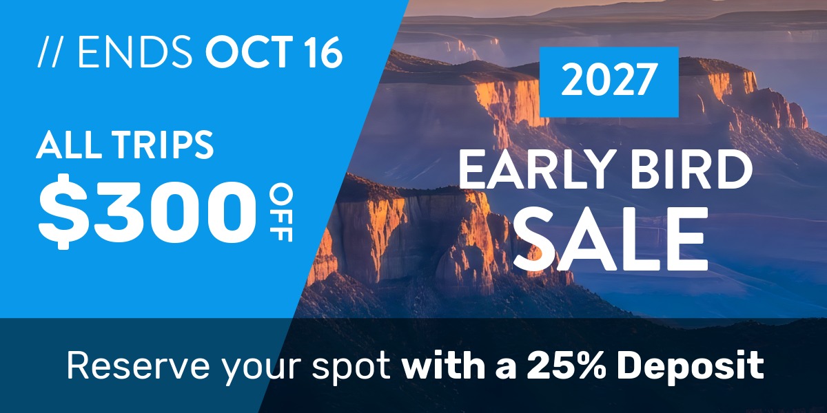 Tour sale