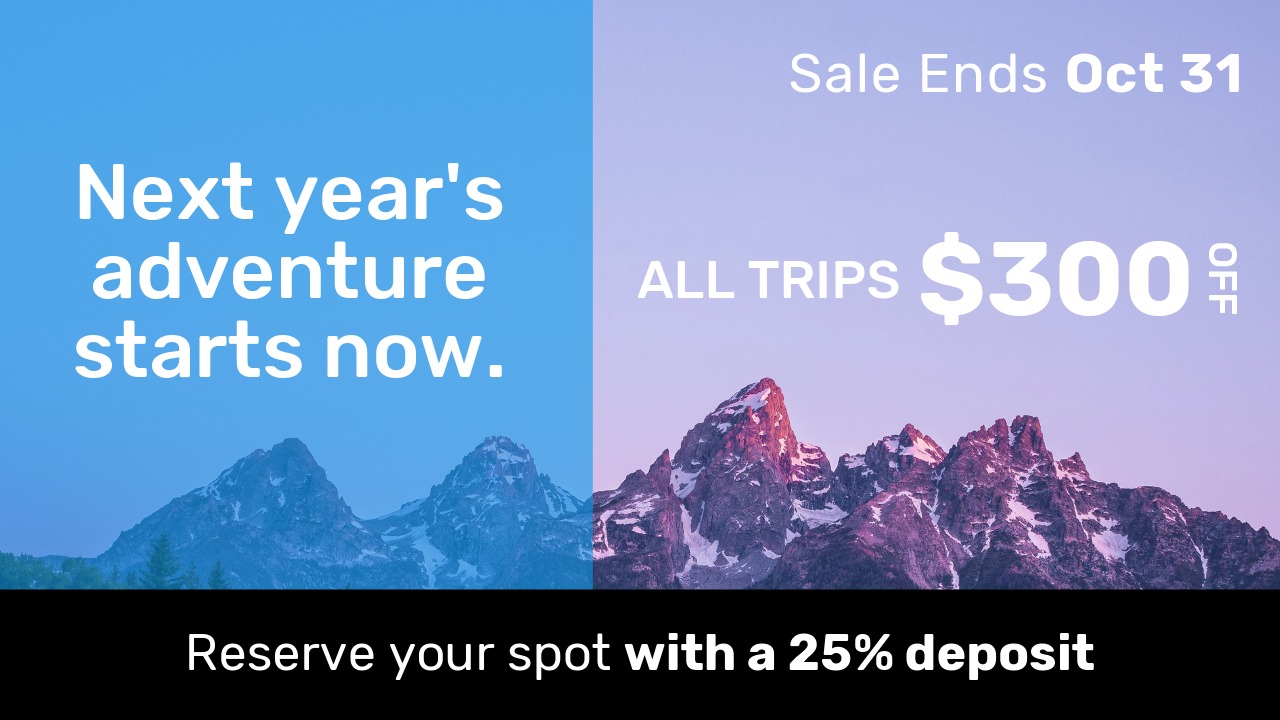 Home nov 15 sale