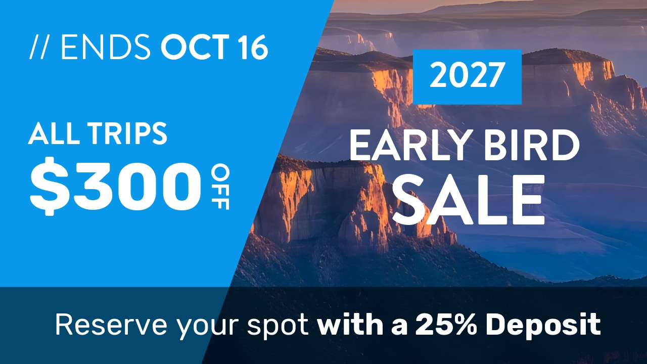 Home nov 15 sale